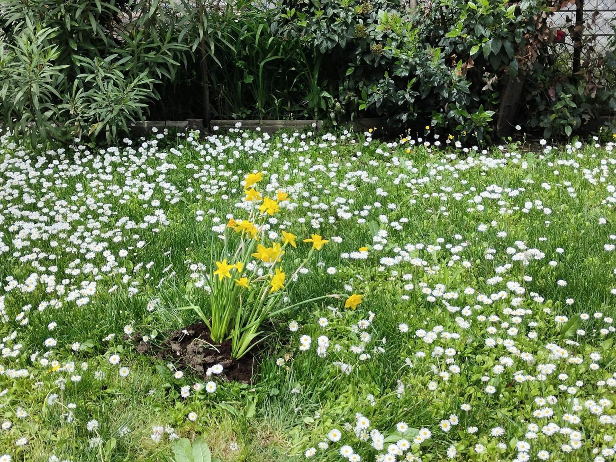 Grigio Perla Panigale, Villetta Con Giardino E Parcheggio Privato Fino A Tre Posti Auto - Un Oasi Di Tranqullita Bologna Luaran gambar